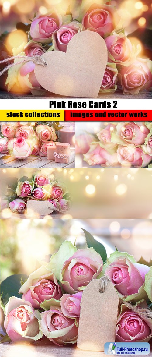 Pink Rose Cards 2