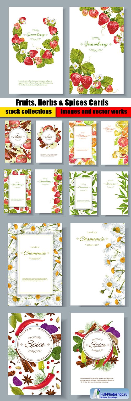 Fruits, Herbs & Spices Cards Vector