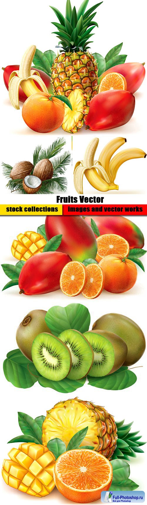 Fruits Vector