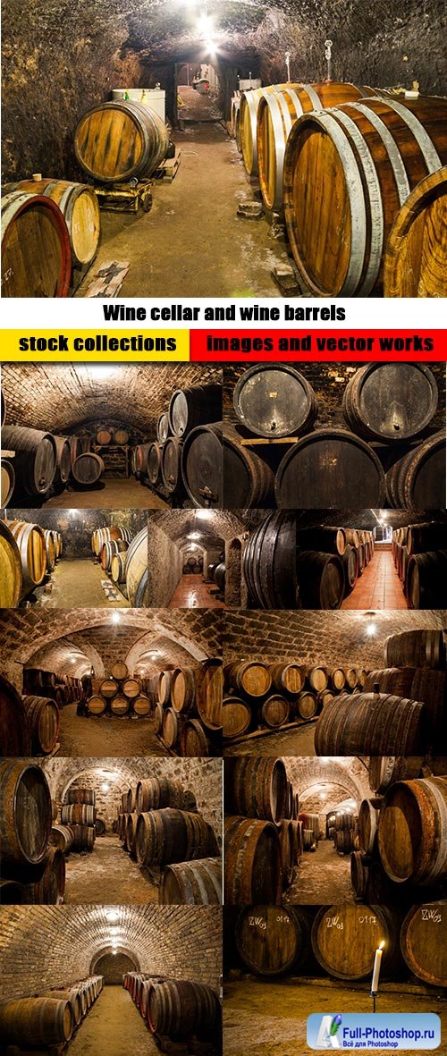Wine cellar and wine barrels