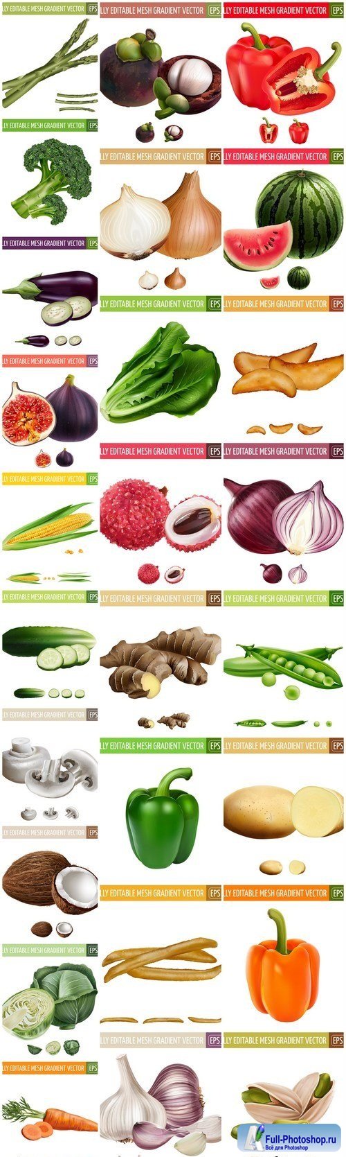 Realistic Vegetables Fruits Set