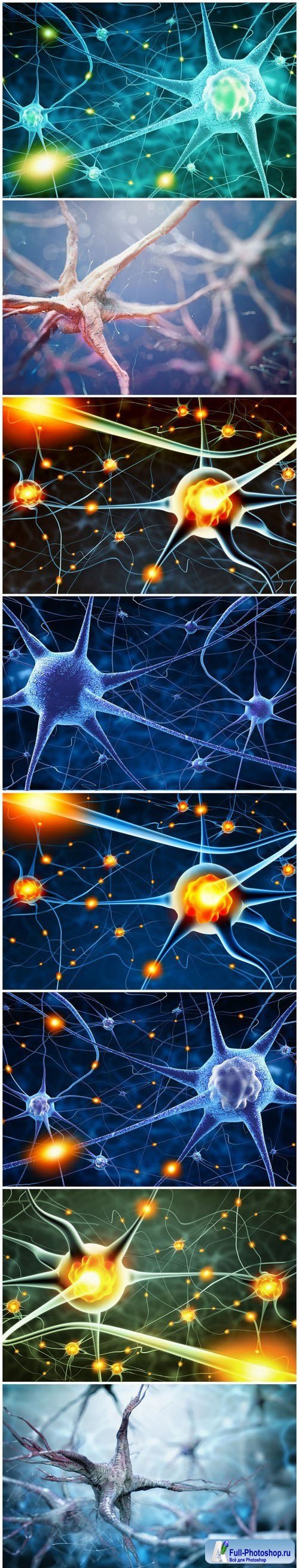 Active nerve cells - Set of 8xUHQ JPEG Professional Stock Images