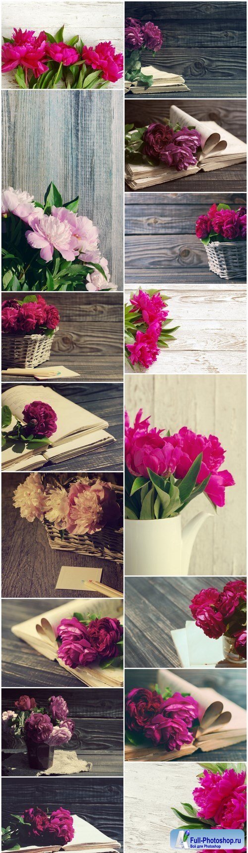 Beautiful peony flowers - Set of 16xUHQ JPEG Professional Stock Images