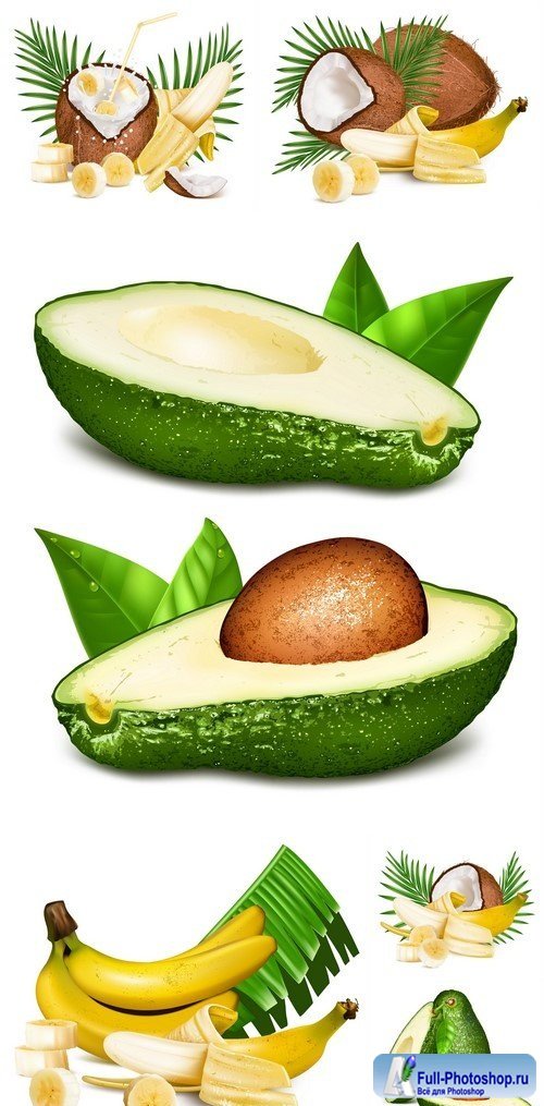 Coconuts and ripe yellow bananas Avocados with leaves 6X EPS