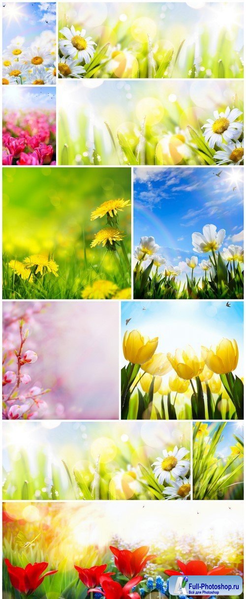 Art abstract sunny spring flower background 11X JPEG