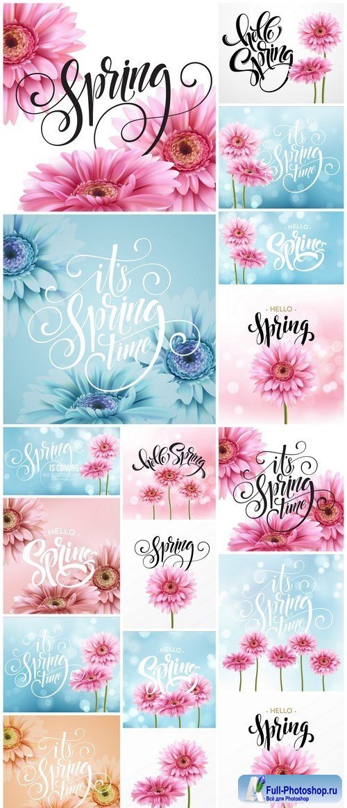 Gerbera Flower Background and Spring Lettering 17X EPS