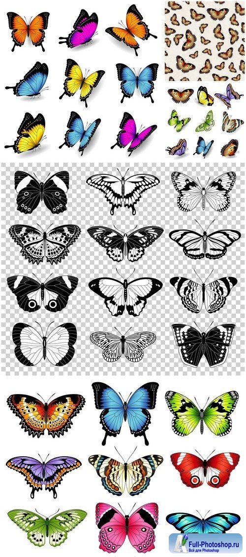 Vector color butterfly illustrations 5X EPS