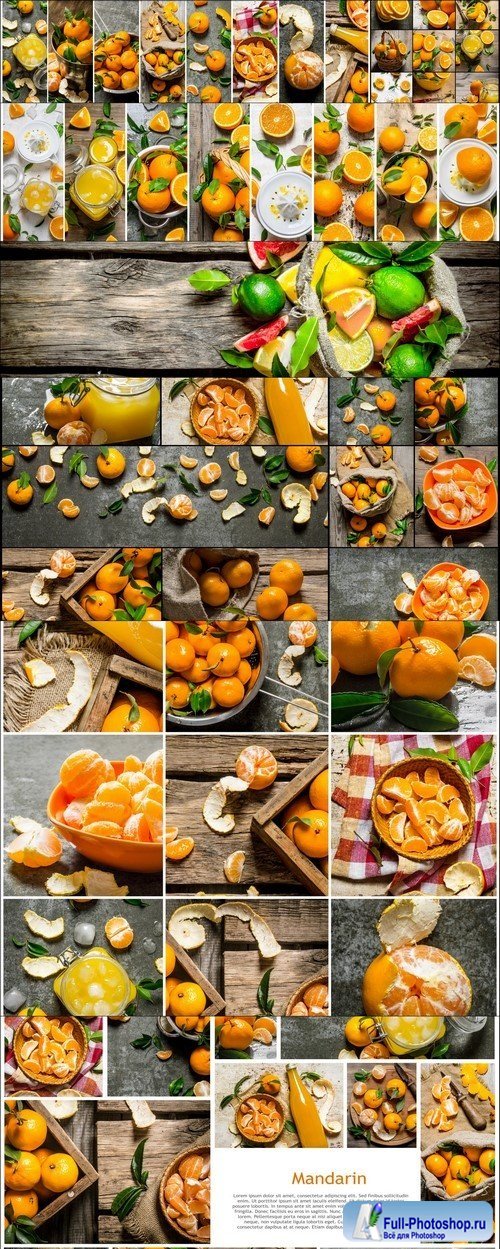 Food collage of fresh oranges and mandarin #8 7X JPEG