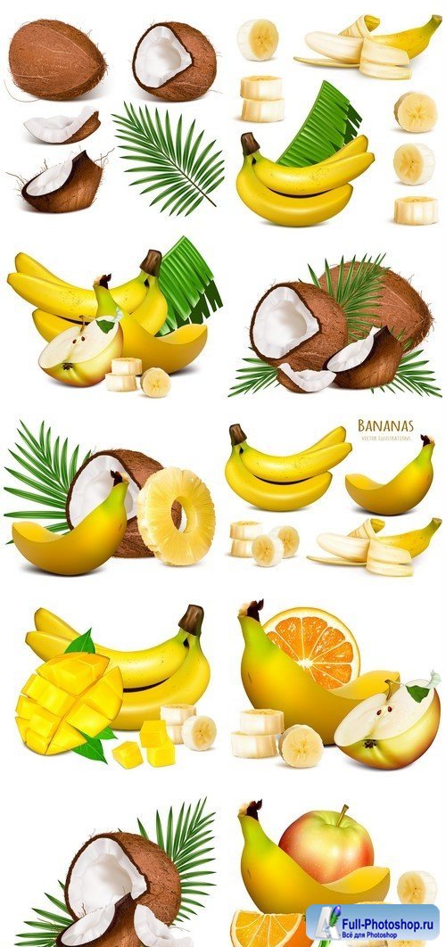 Tropical fruits, pineapple, coconut, banana #1 10X EPS