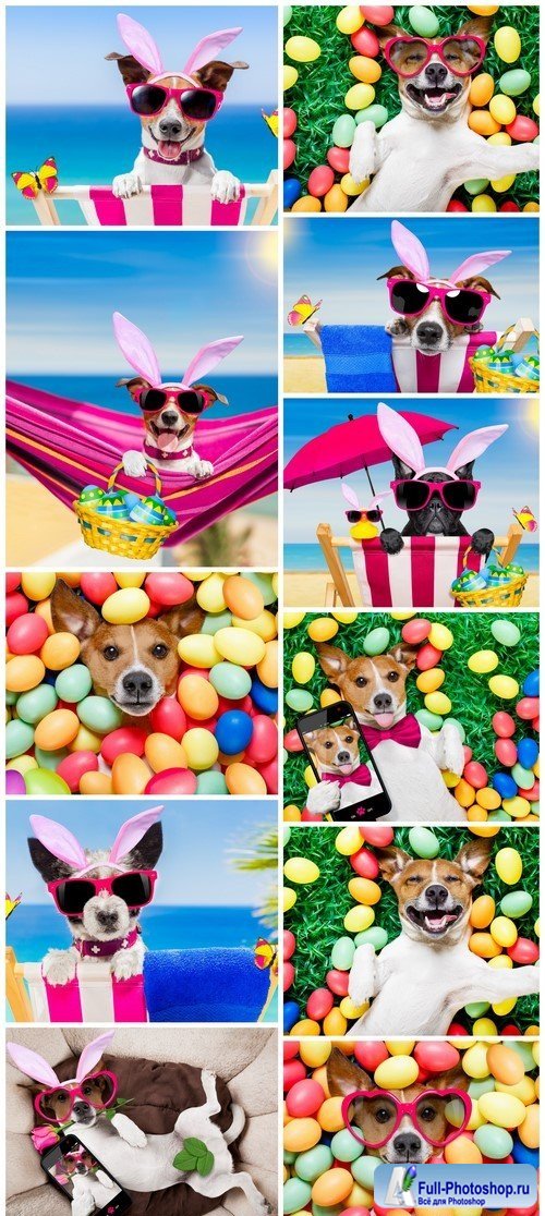 Easter bunny dog with eggs 11X JPEG