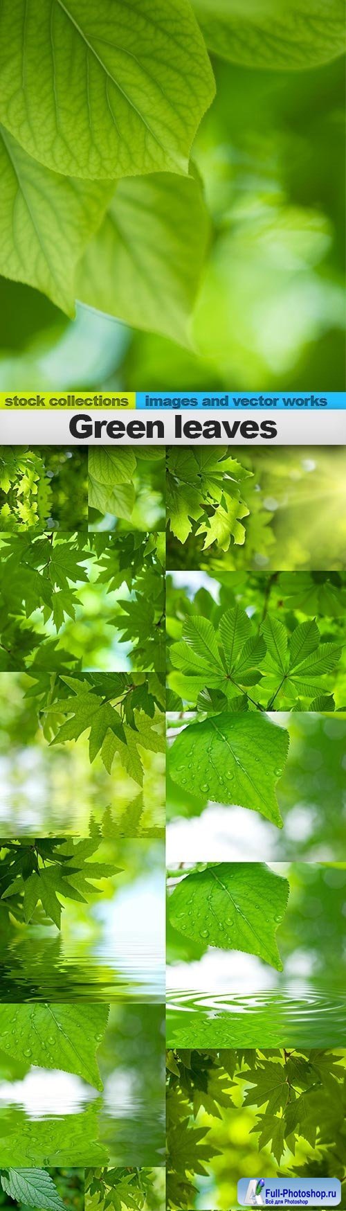 Green leaves, 15 x UHQ JPEG