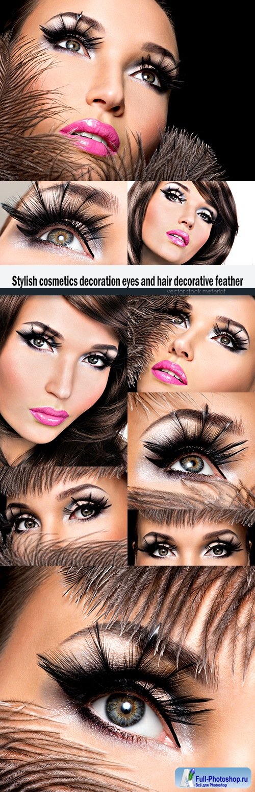 Stylish cosmetics decoration eyes and hair decorative feather