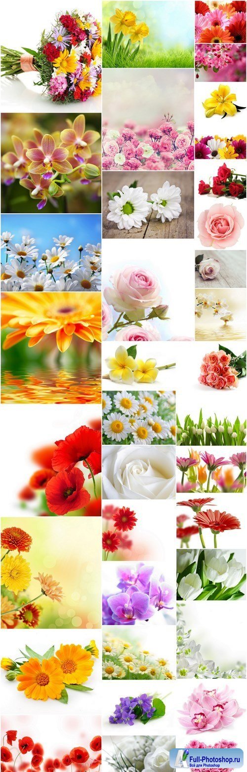 Beautiful Spring Flowers #4 - 40 HQ Images