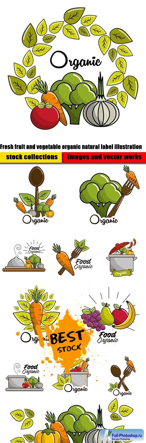 Fresh fruit and vegetable organic natural label illustration