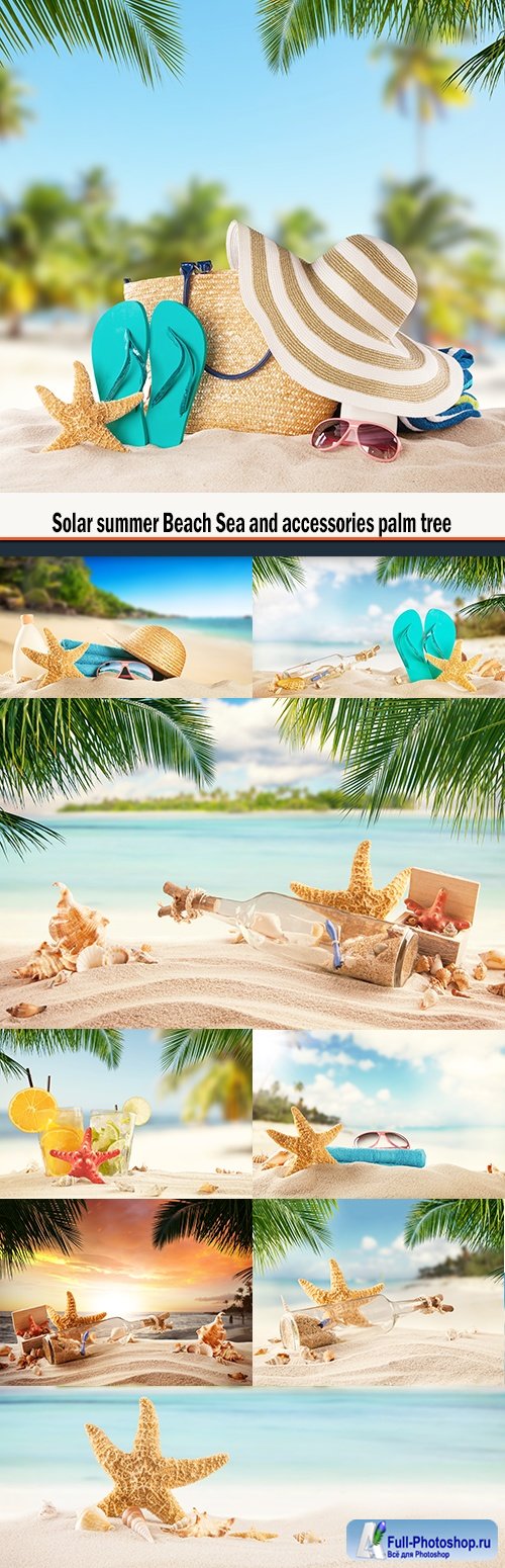 Solar summer Beach Sea and accessories palm tree