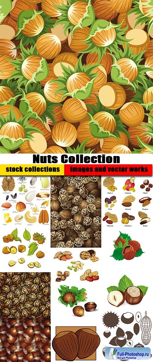 Shutterstock - Nuts Collection