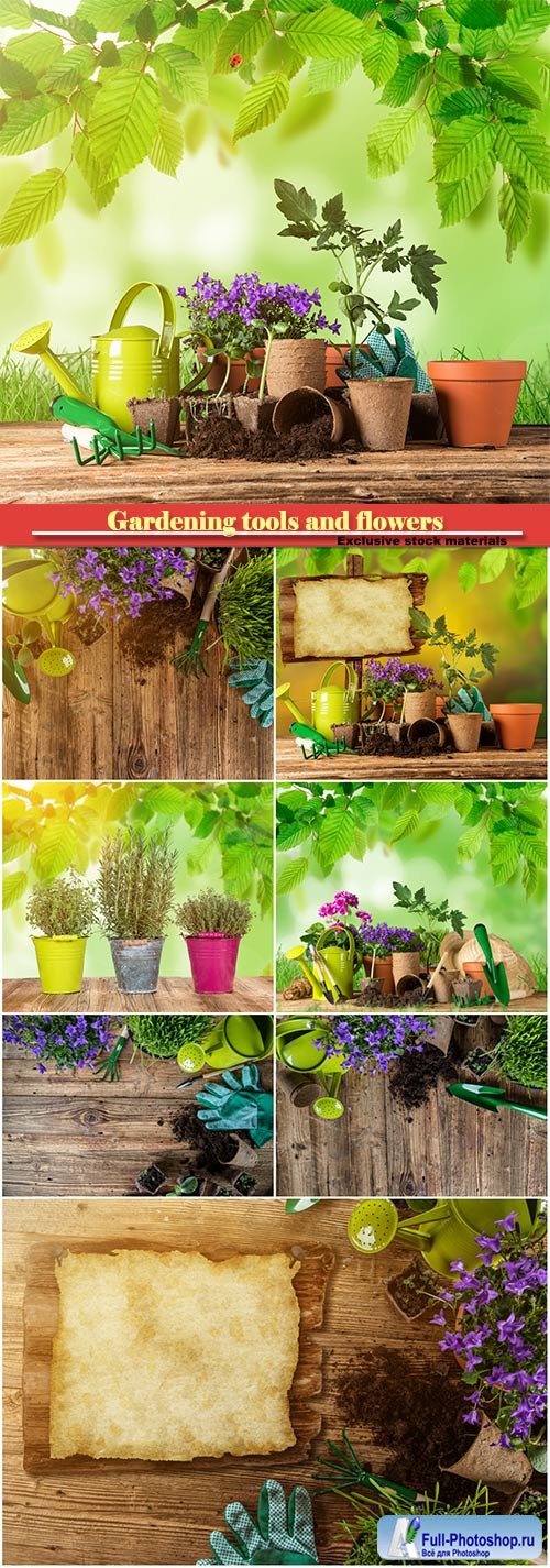 Gardening tools and flowers on wooden table