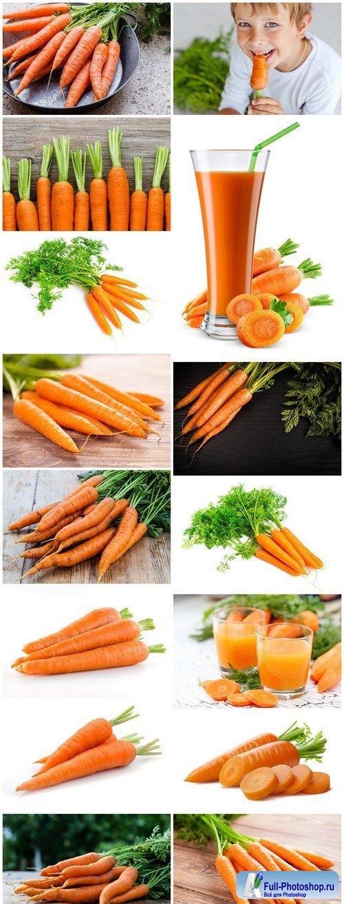 Bright Juicy Carrot