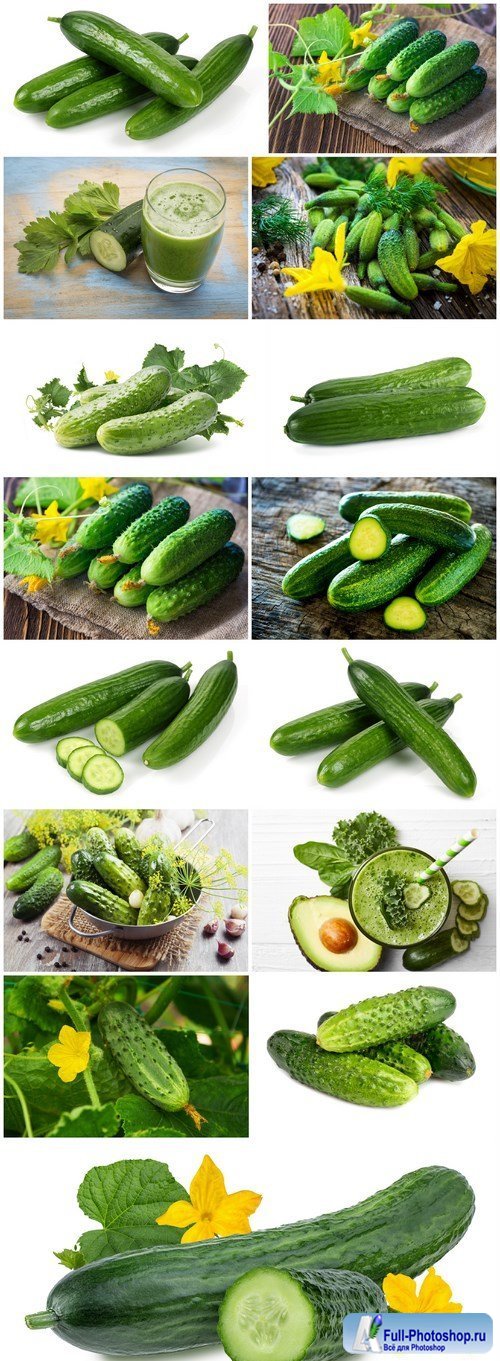 Fresh Cucumber - 15 HQ Images