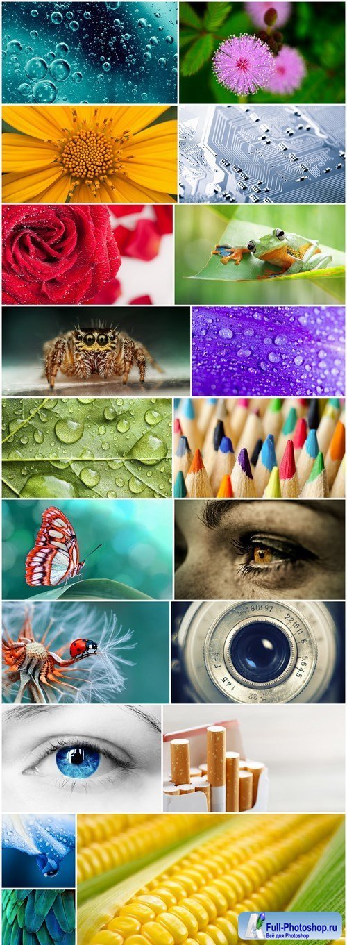 Different Macro Photo - 20 HQ Images