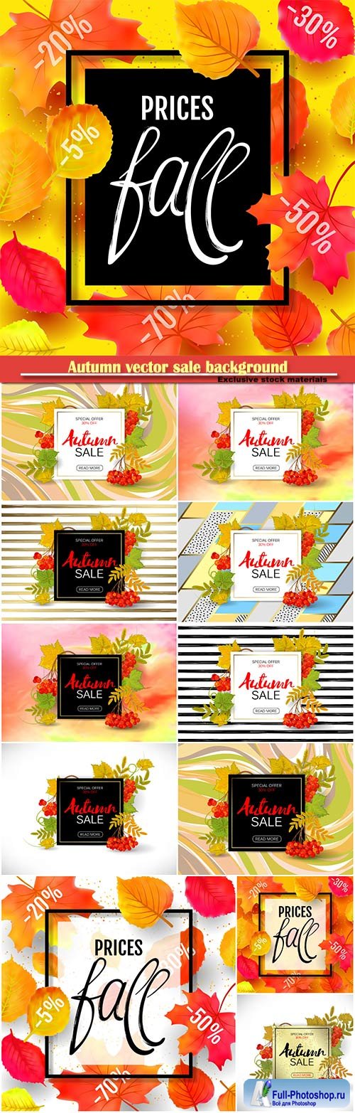 Autumn vector sale background with colorful autumn leaves and a rowan on marble backdrop
