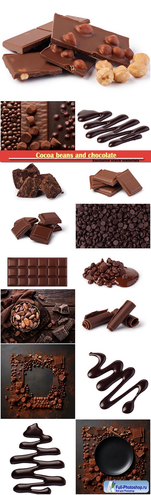 Cocoa beans and chocolate