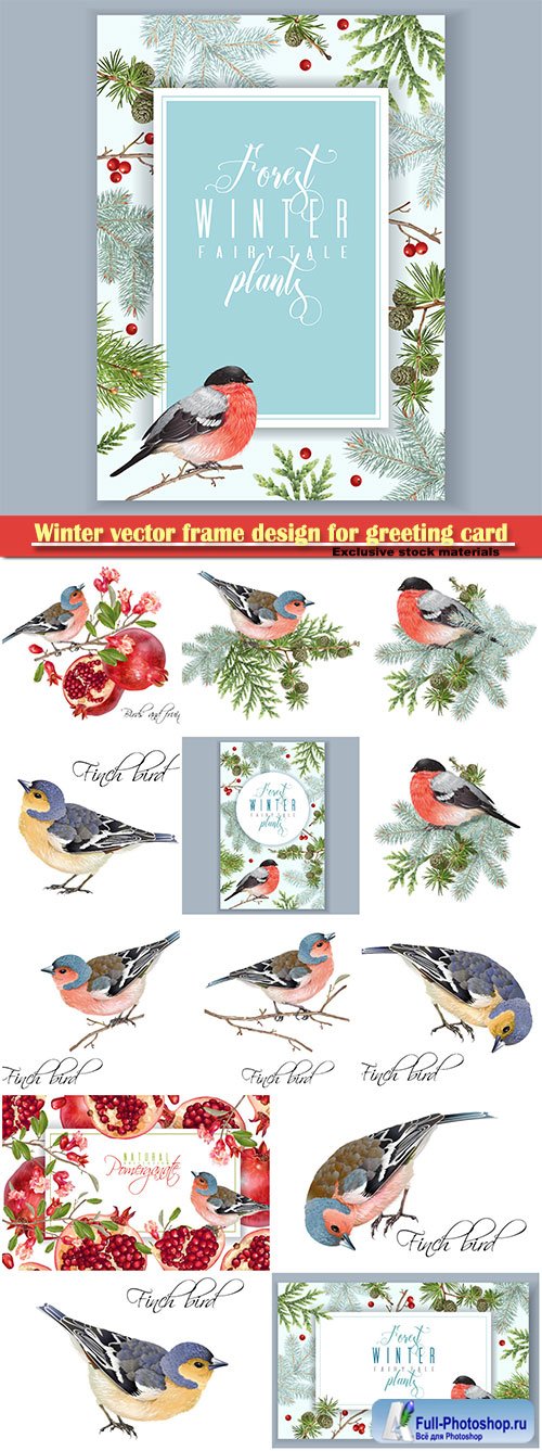 Winter vector frame design for greeting card with forest branches and bullfinch, Christmas party invitation