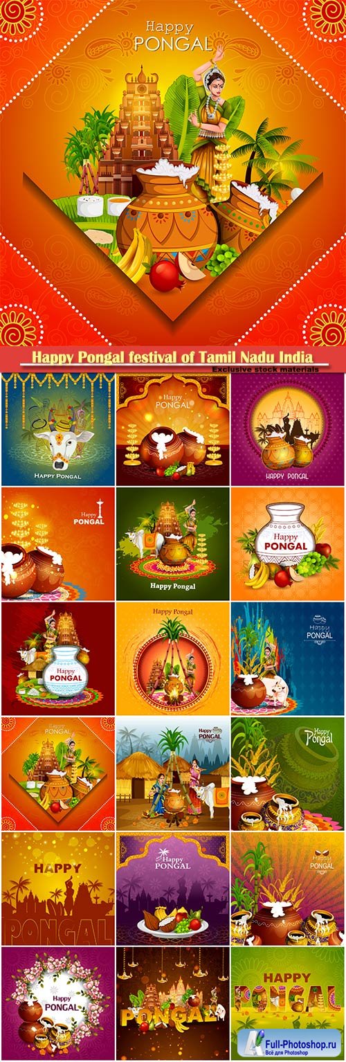 Happy Pongal festival of Tamil Nadu India vector background