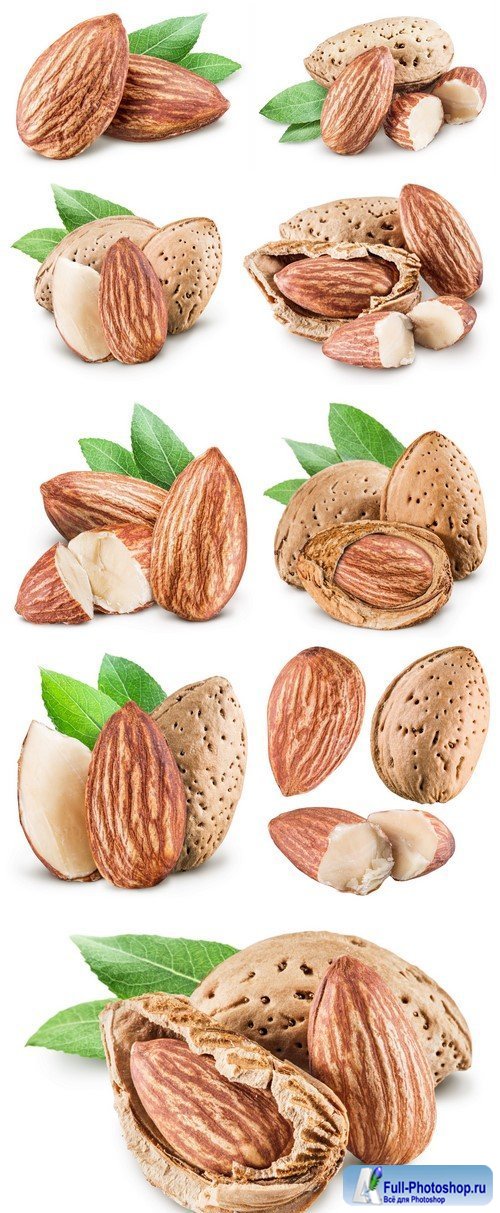 Almond nuts 9X JPEG
