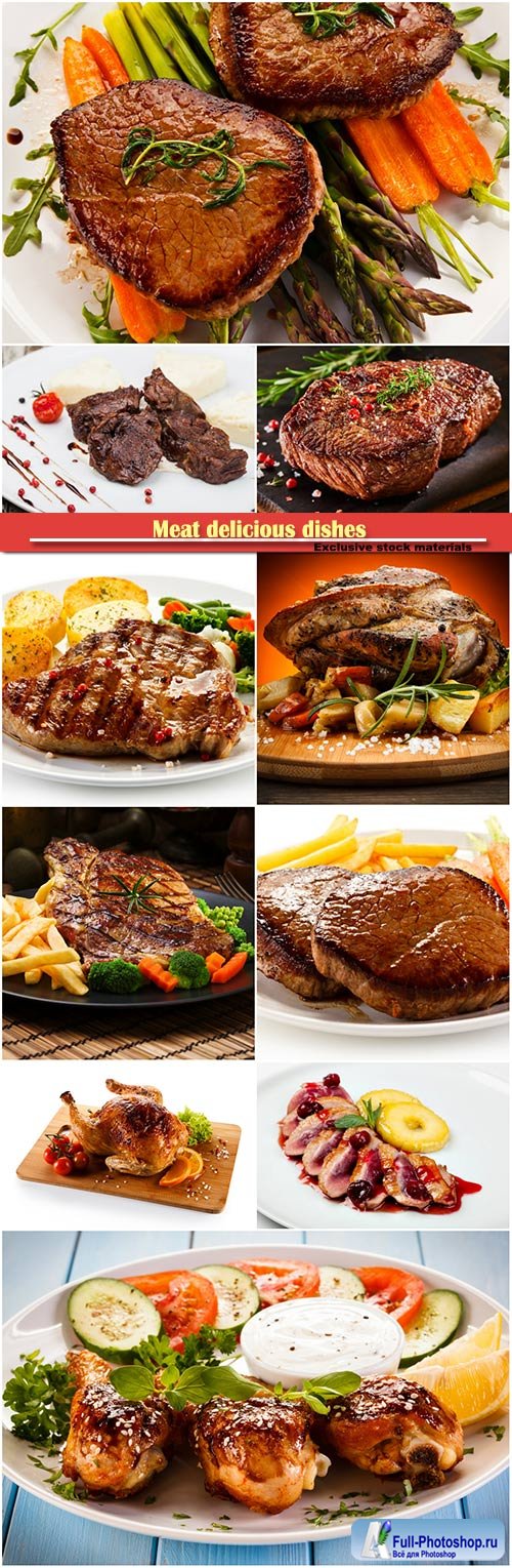Meat delicious dishes served with french fries and vegetables