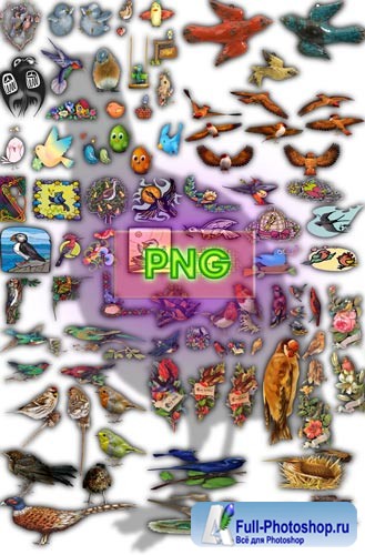  Png  -    
