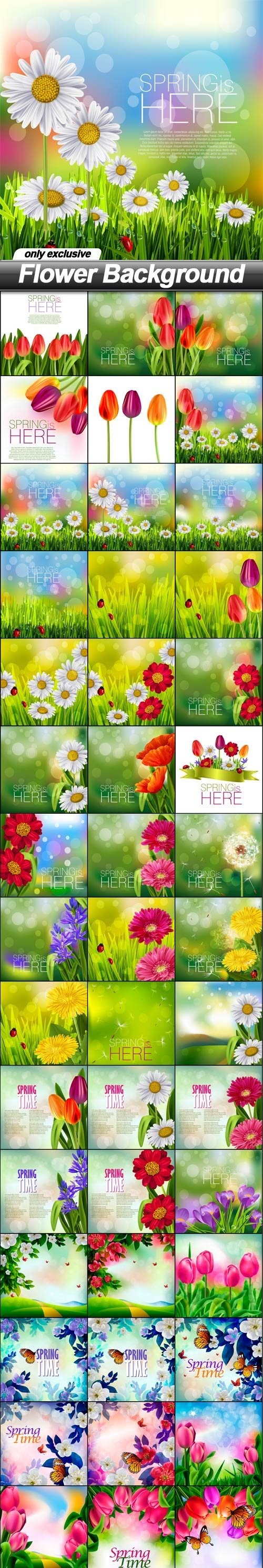 Flower Background - 48 EPS