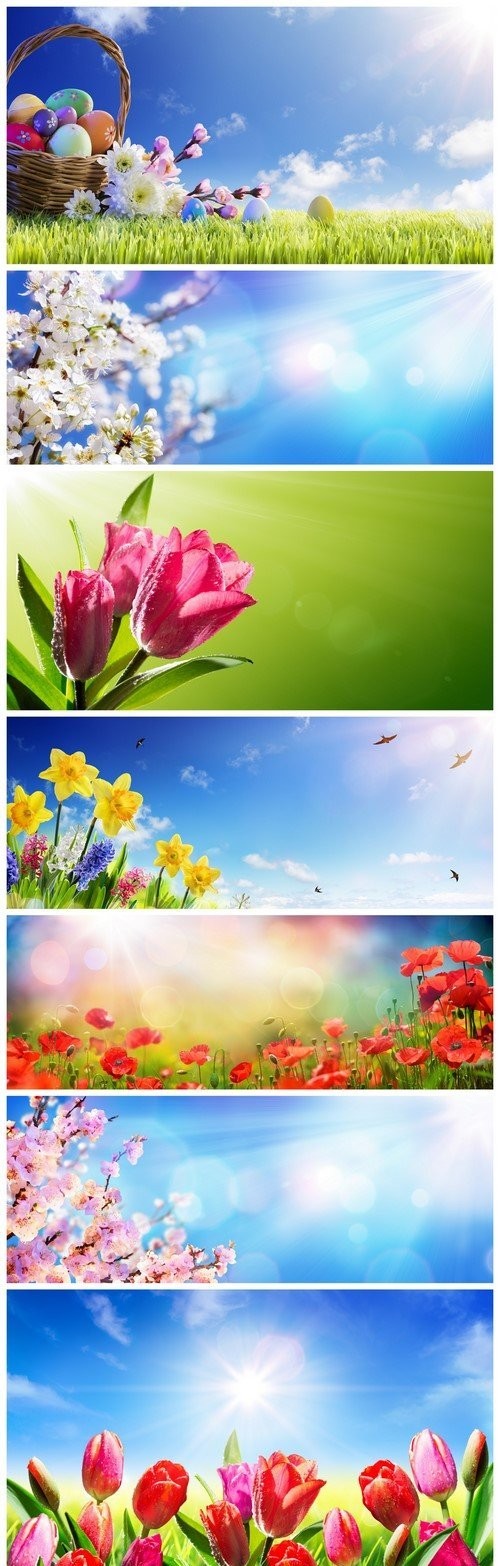 Spring flowers and sun rays 7X JPEG