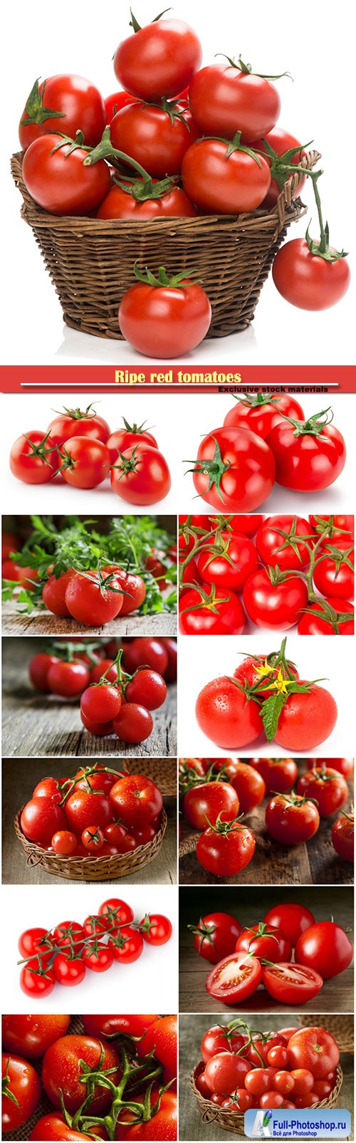 Ripe red tomatoes