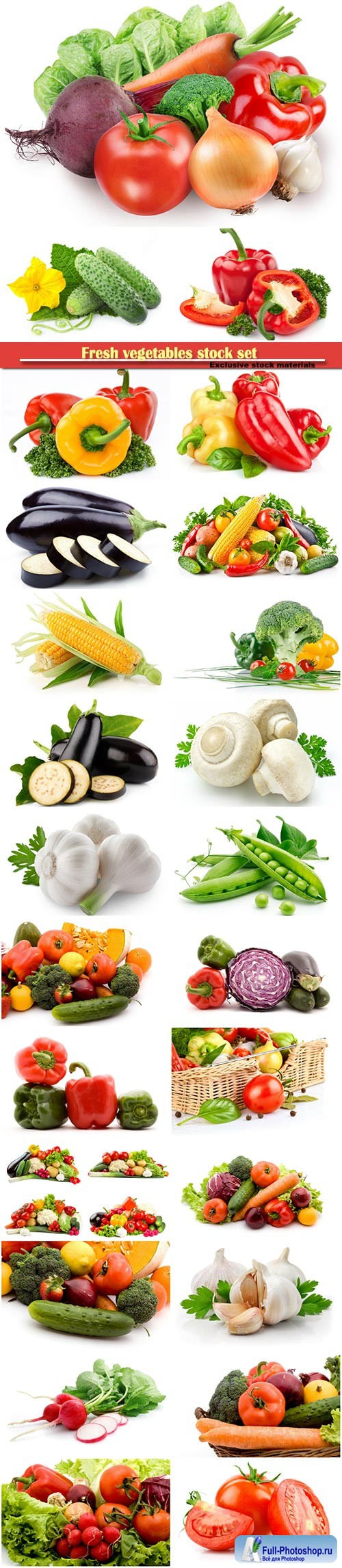 Fresh vegetables stock set
