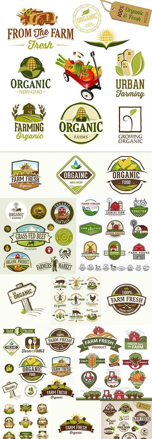 Farm organic fresh market food natural vintage emblem