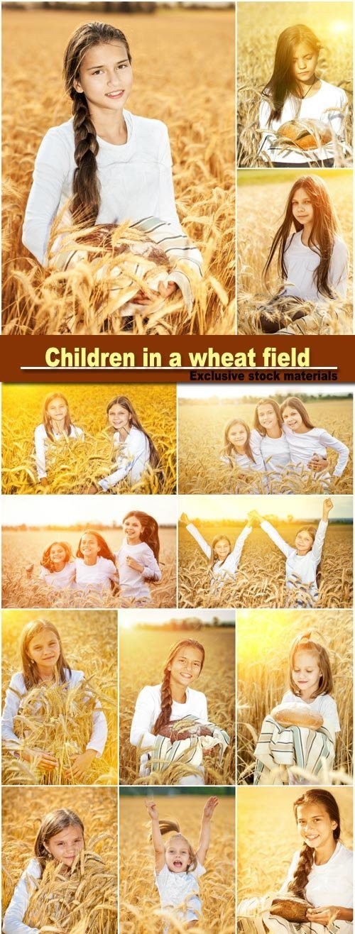Fotolia - Children in a Wheat Field, Bread 16xJPG
