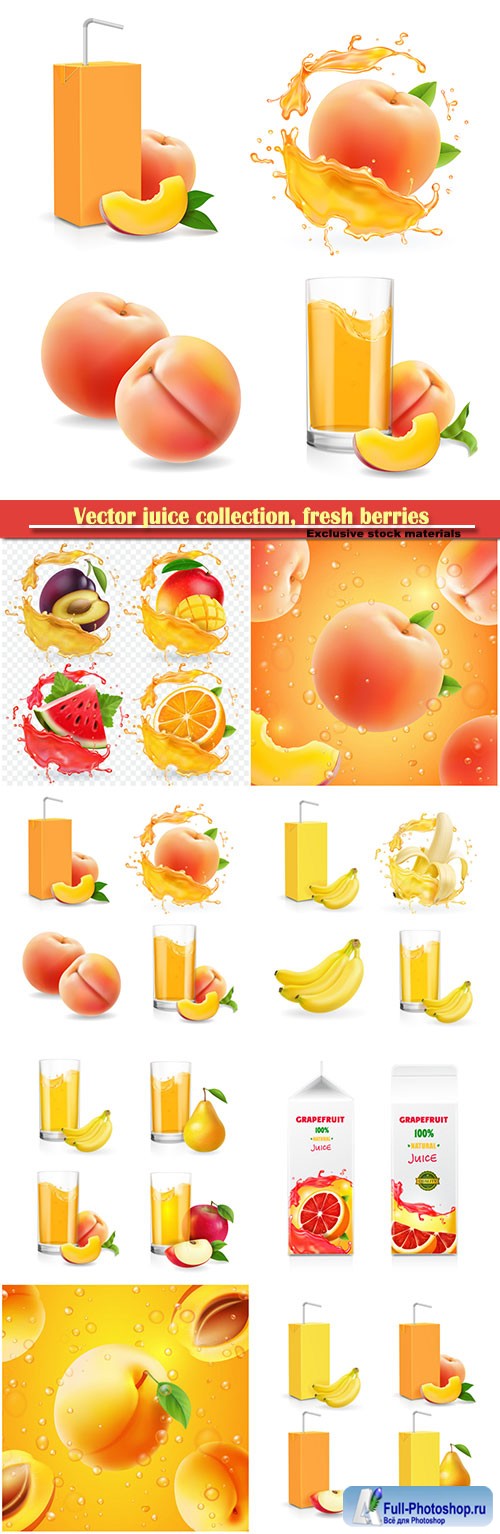 Vector juice collection, fresh berries packaged juice or jam logotype