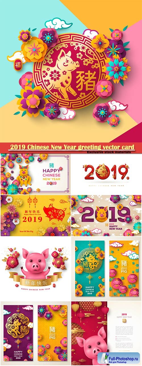 2019 Chinese New Year greeting vector card