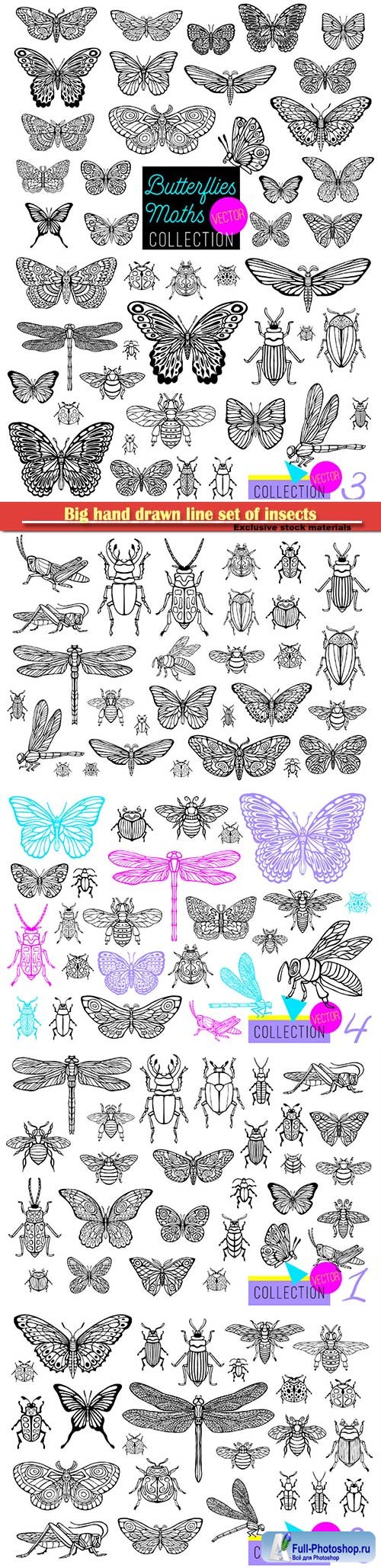 Big hand drawn line set of insects, beetles, honey bees, butterfly moth, bumblebee, wasp, dragonfly, grasshopper