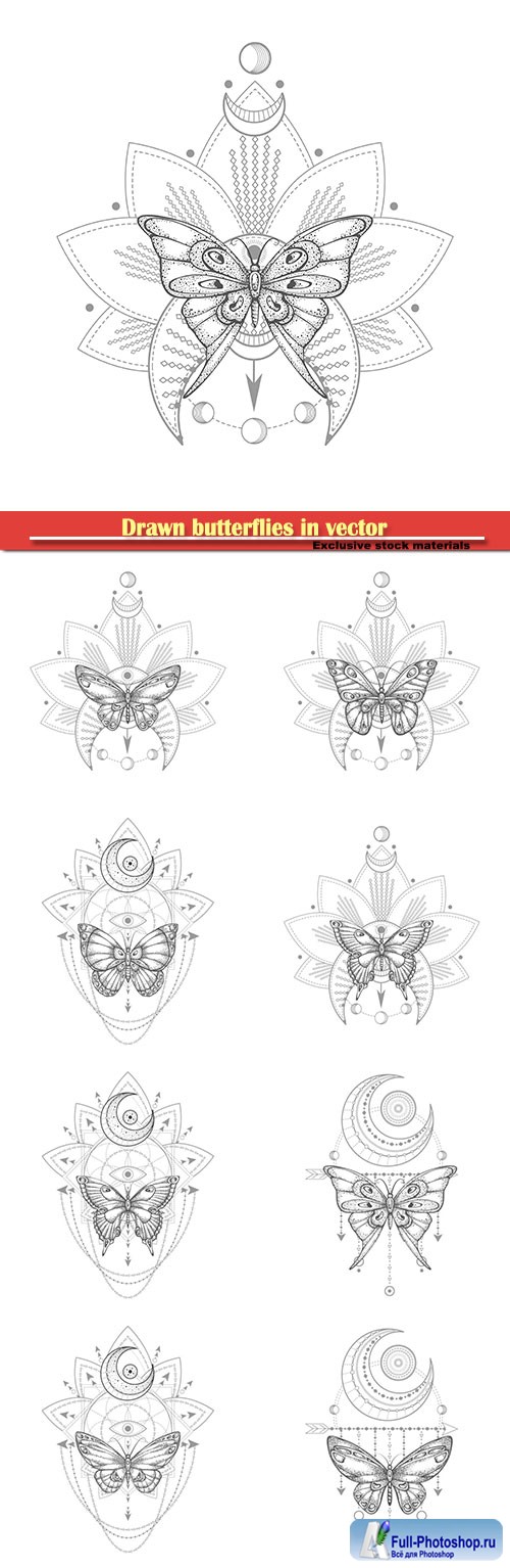 Drawn butterflies in vector, tattoo design