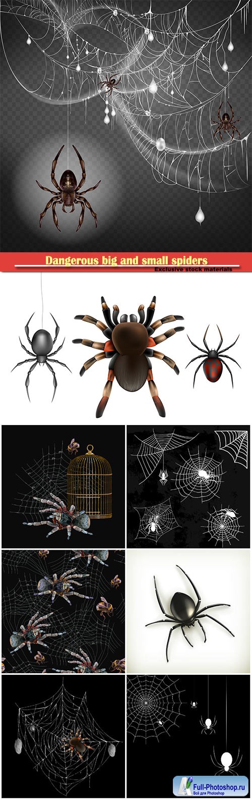 Dangerous, poisonous big and small spiders hanging on thin web string in 3d realistic vector illustration