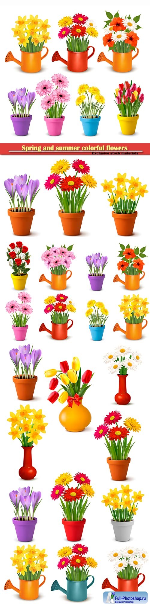 Spring and summer colorful flowers in pots