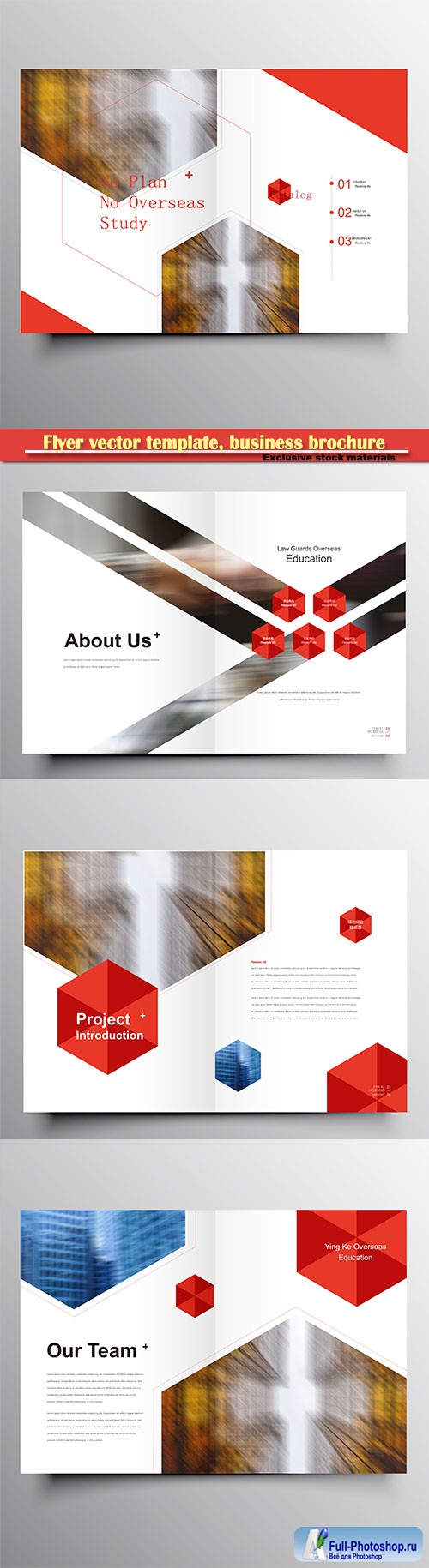 Flyer vector template, business brochure, magazine cover # 34