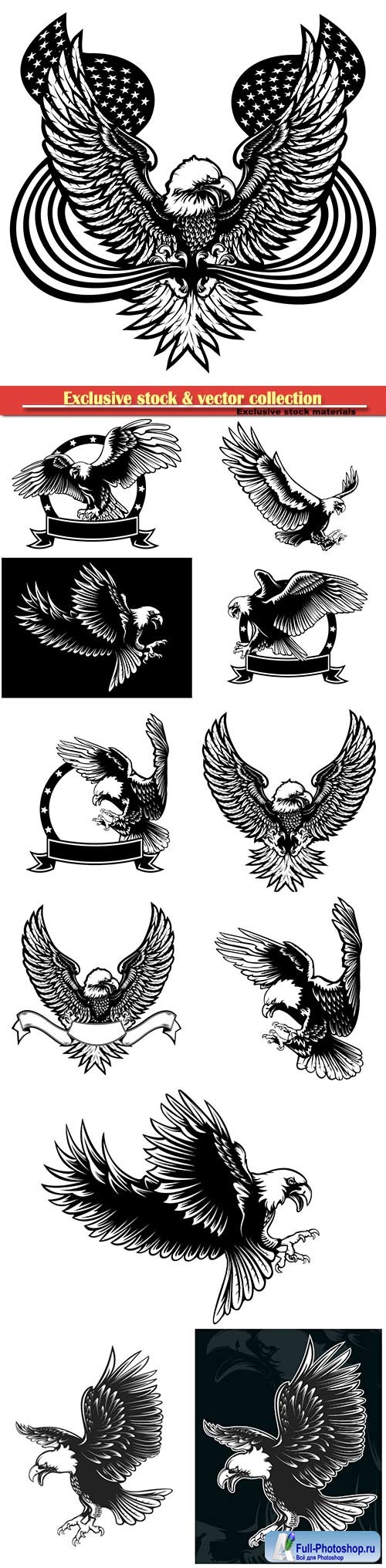 Eagle emblem vector illustration, world symbol of freedom and independence
