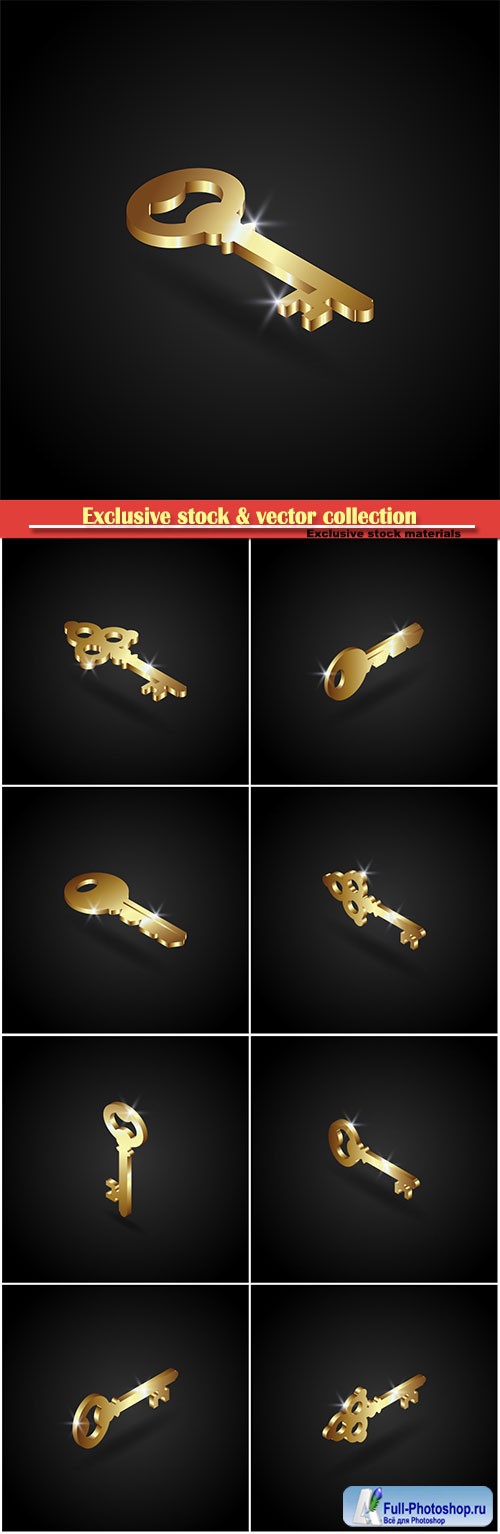 Luxury golden key vector illustration