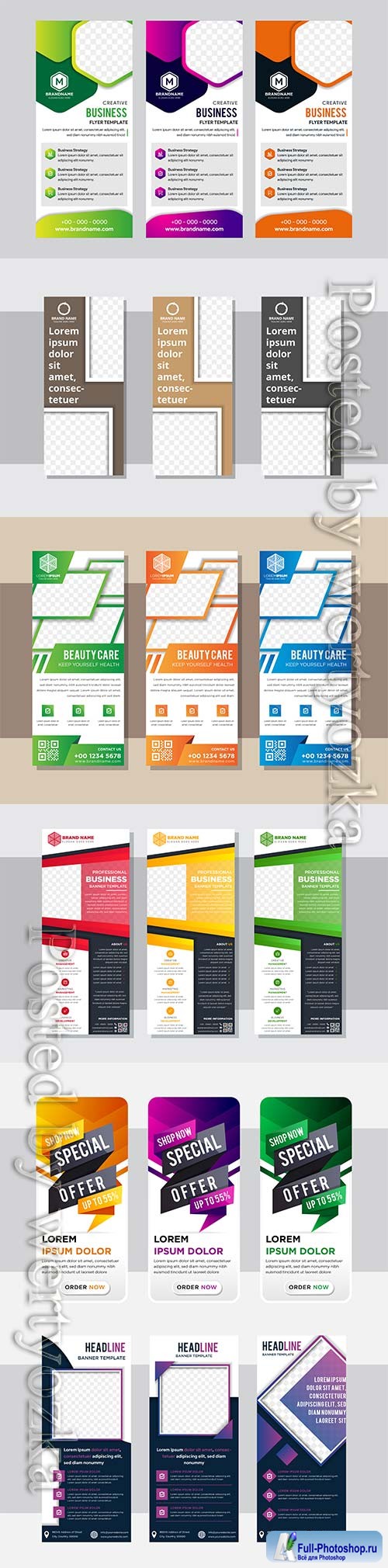 Roll up business vertical brochure vector flyer