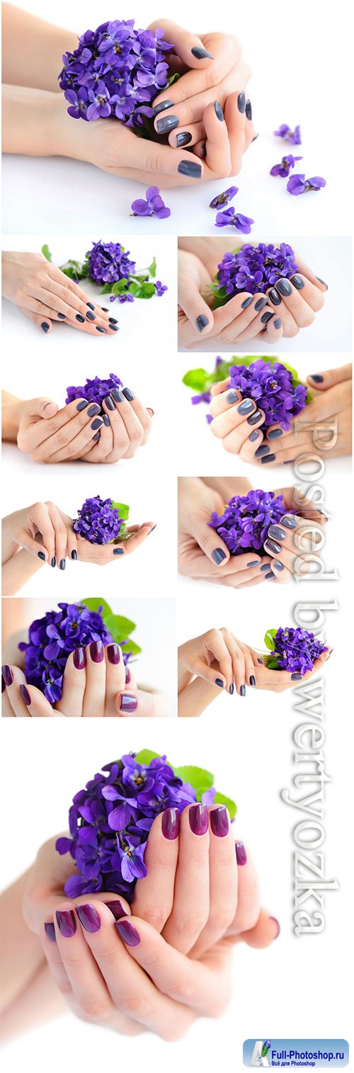 Manicure, female hands with flowers beautiful stock photo