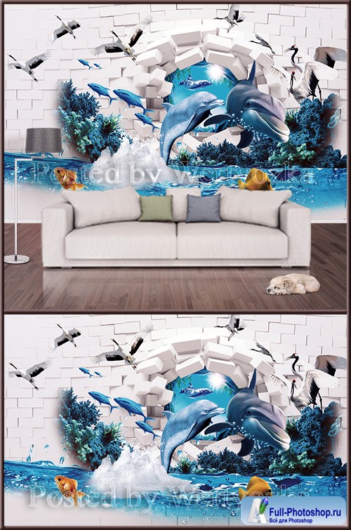 3D psd background wall dolphins fishes airists