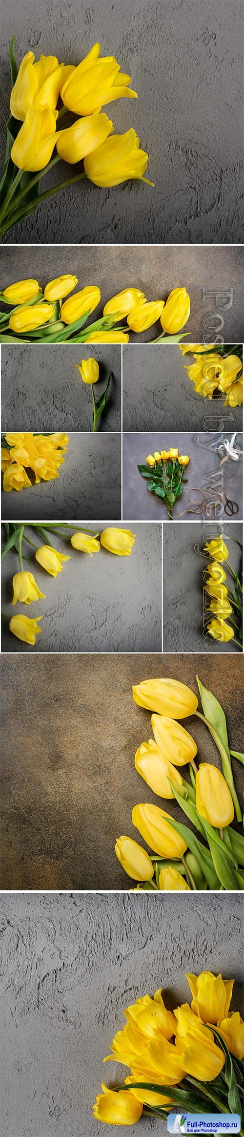 Beautiful yellow tulips stock photo